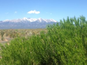 IMG_1292 (5)